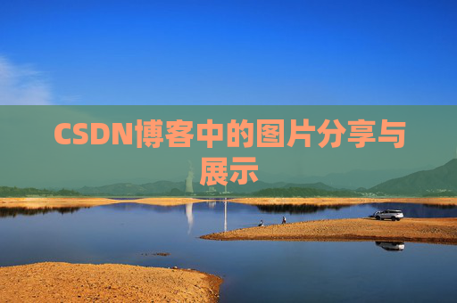 CSDN博客中的图片分享与展示